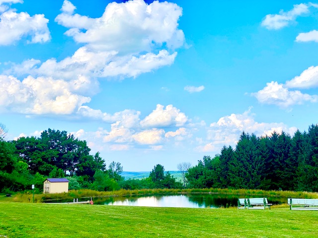 Pond