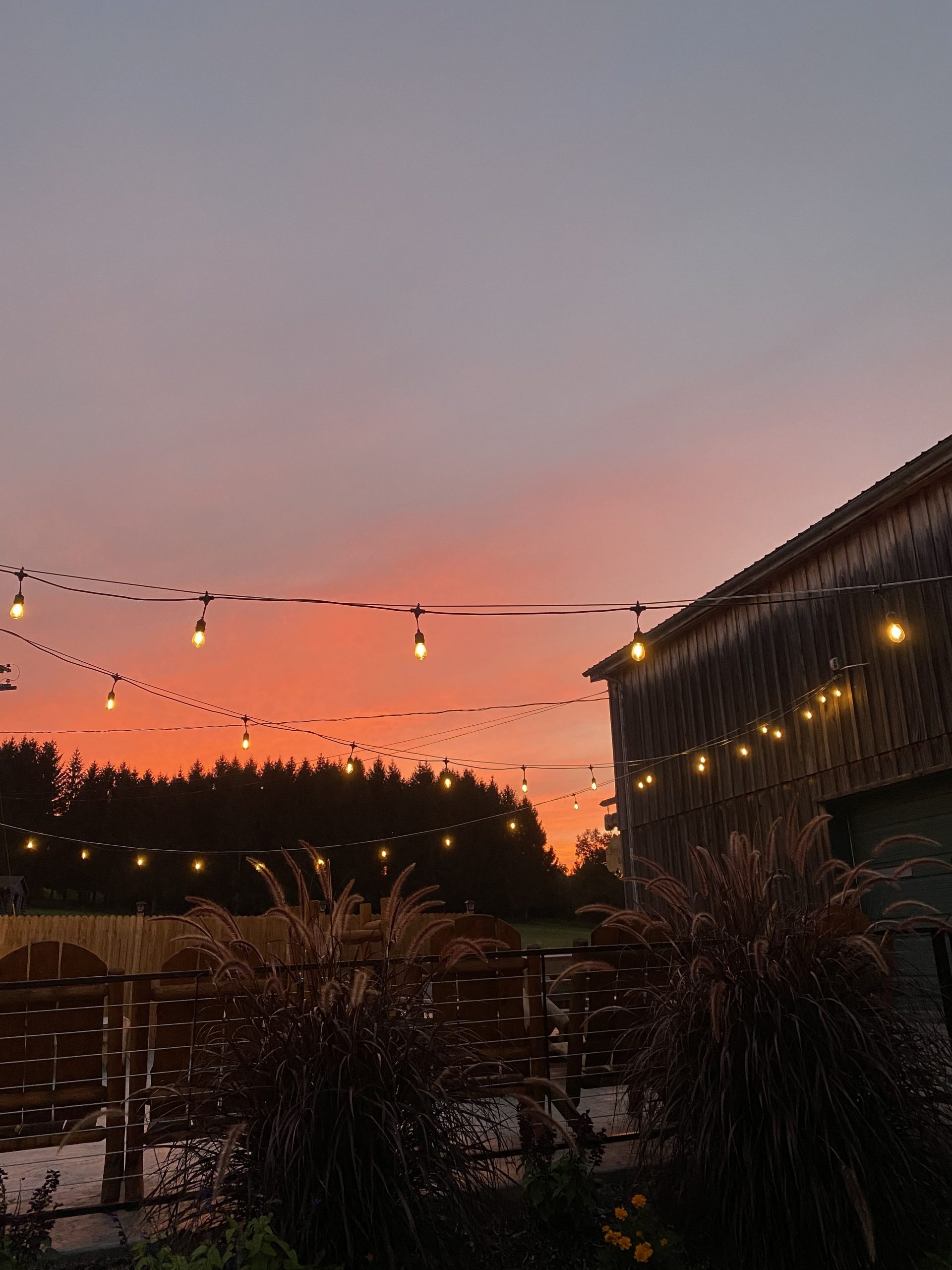 sunset at winery 2